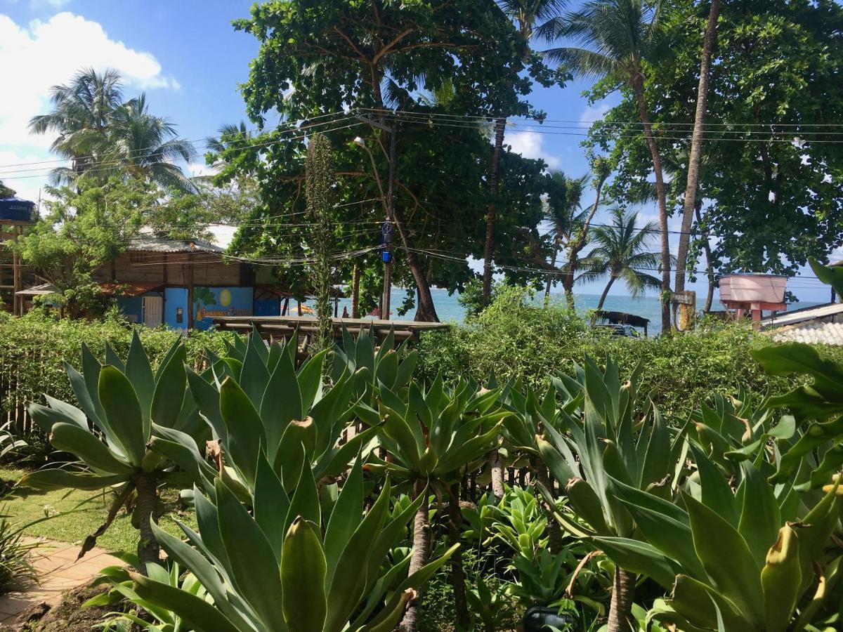 شقة Concha Tropical Flat Itacaré المظهر الخارجي الصورة